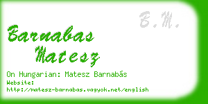 barnabas matesz business card