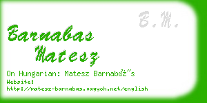 barnabas matesz business card